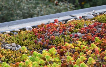 the cost of Bruan green roof installation