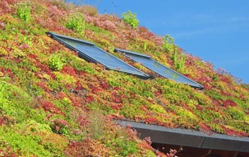 Bruan living roof systems