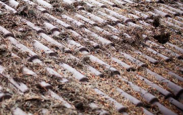 Bruan roof cleaning companies