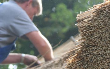 professional Bruan thatchers