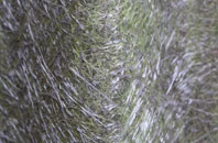 Bruan fibreglass roof work