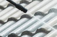 rated Bruan roof cleaning companies