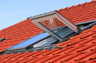 Bruan roof window